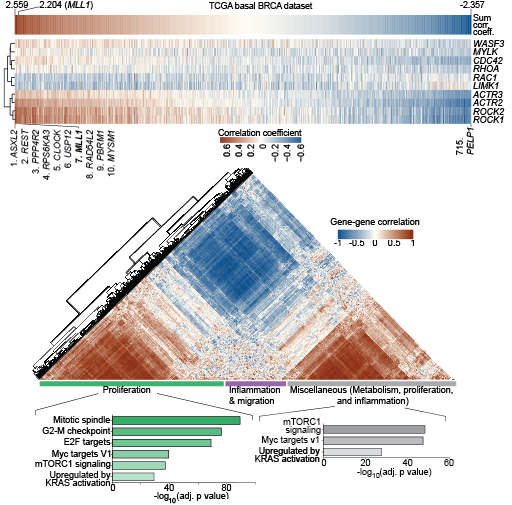 Bioinformatic Discovery of Metastatic Drivers